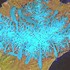 carto-1