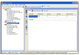 File Manager